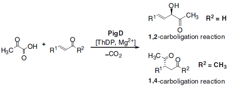 Reactions catalysed