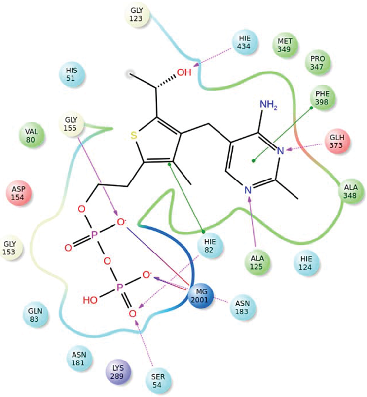 Interactions of 2-HEdeazaTPP with DXPS