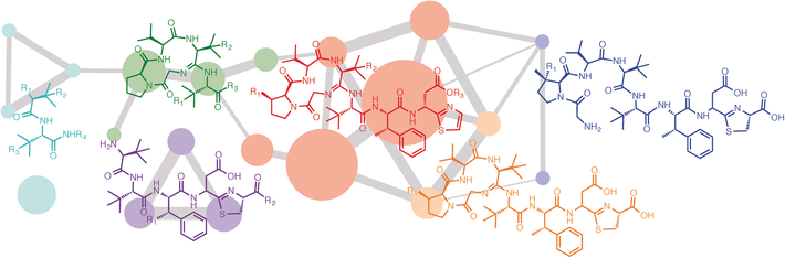 Metabolic Network & some structures