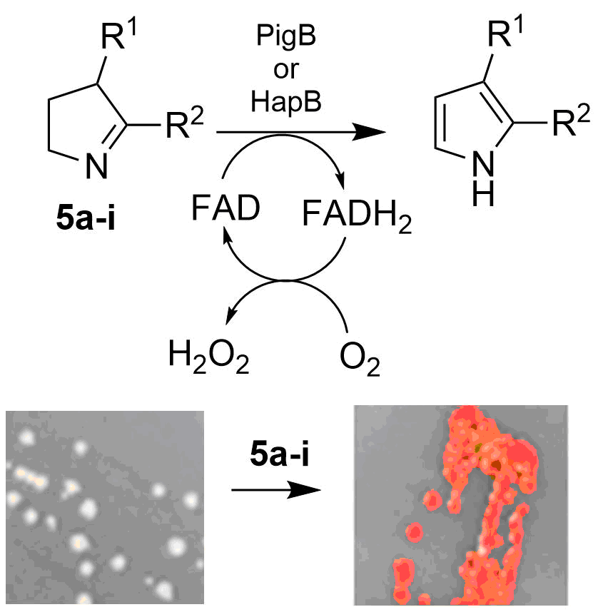 H2MAP oxidation