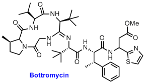 structure of bottromycin