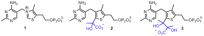 some analogues of TPP